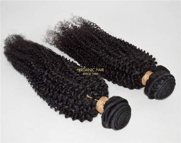 Wholesale 100 human hair extensions